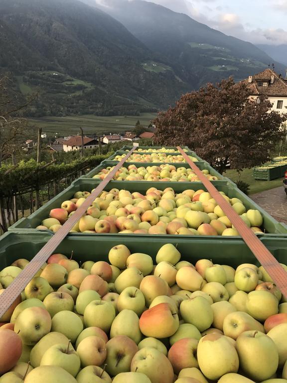 Klostergut Castelbello Εξωτερικό φωτογραφία